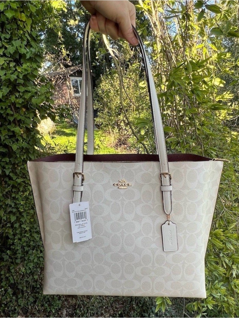 COACH Large Mollie Tote Shoulder Bag Signature Chalk/Glacierwhite Gold Hardware